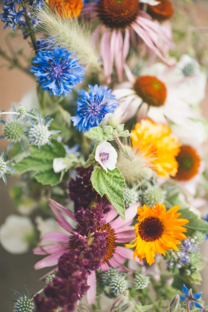 medicinal locally grown flower arrangement, echinacea, marshmallow, calendula