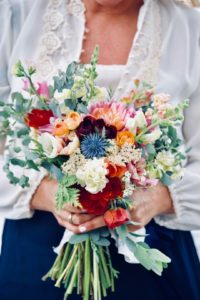 bright red, white and blue locally grown flowers