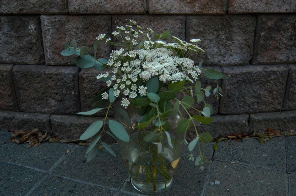 eucalyptus, yarrow, queen anne's lace in vase