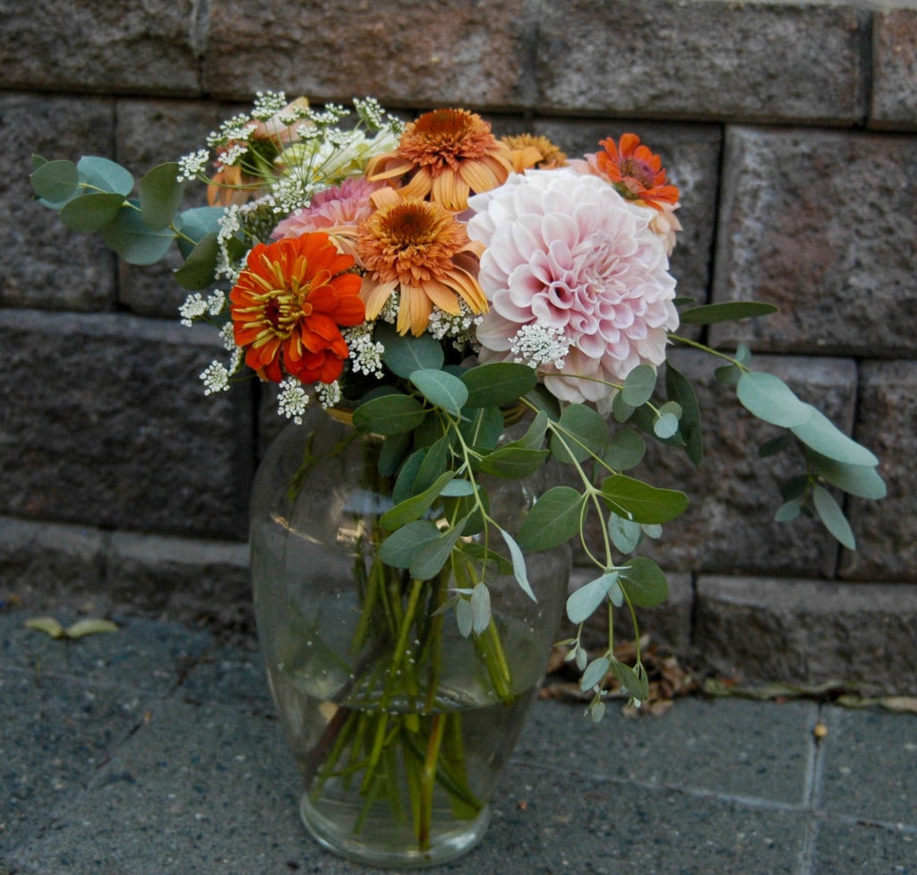 echinacea, dahlia, eucalyptus, yarrow, queen anne's lace in vase