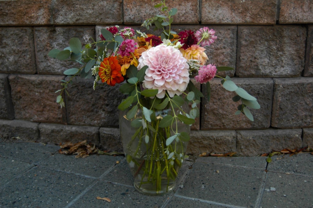 echinacea, eucalyptus, yarrow, queen anne's lace, dahlia, scabiosa