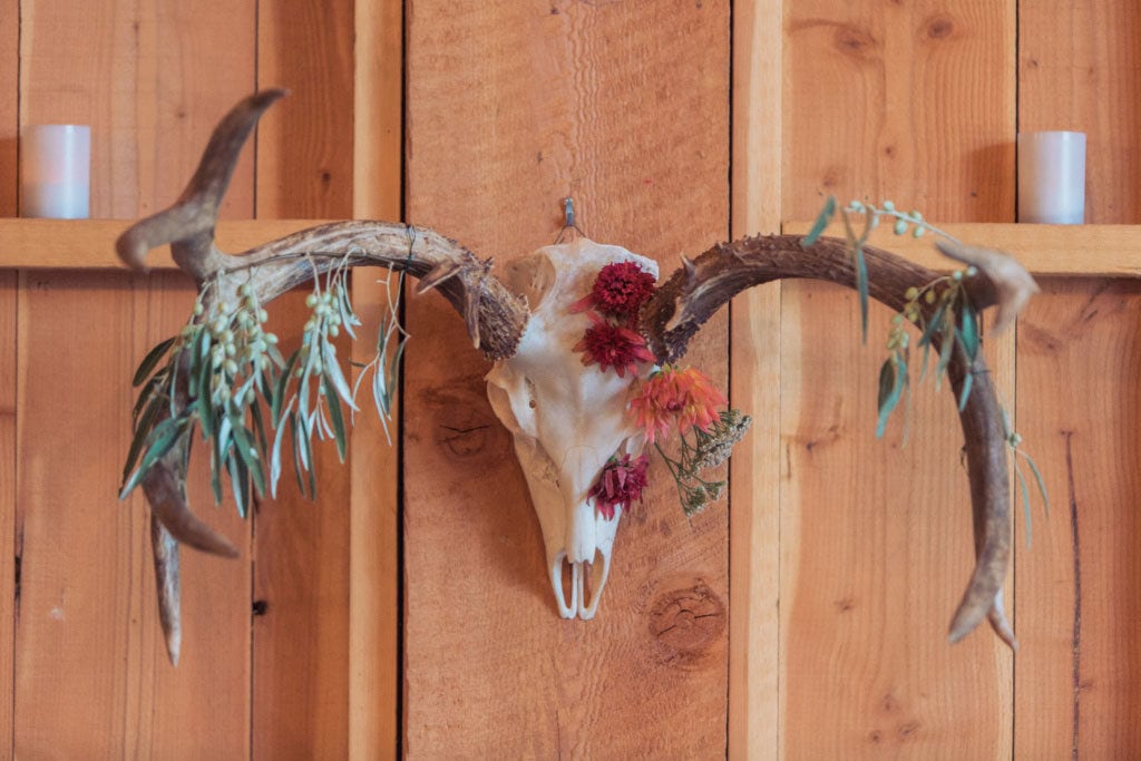 antlers with flowers draping from it