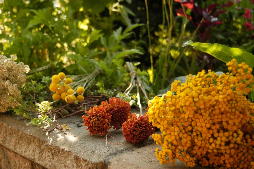 assorted yellow and orange flowers for DIY Dried Flower Bouquet