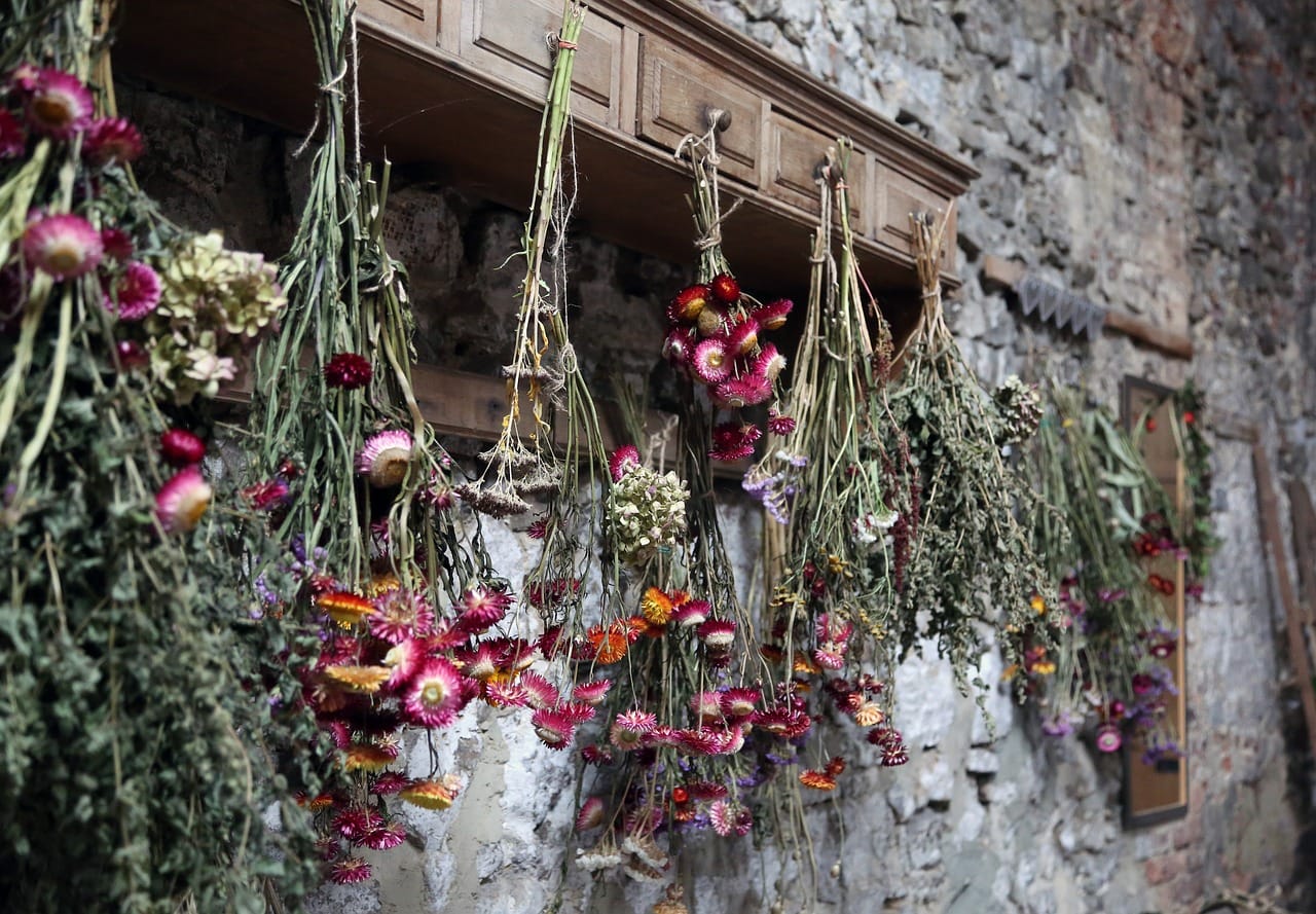 Dried flowers hanging in Montana for valentine bouquets