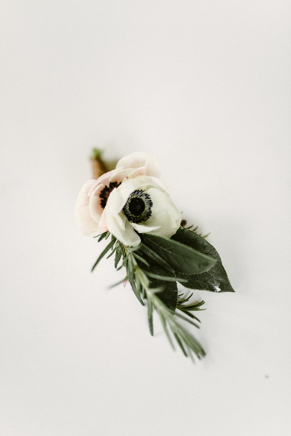 contact earth within flowers Groom boutonniere in Missoula, Montana Missoula Florist