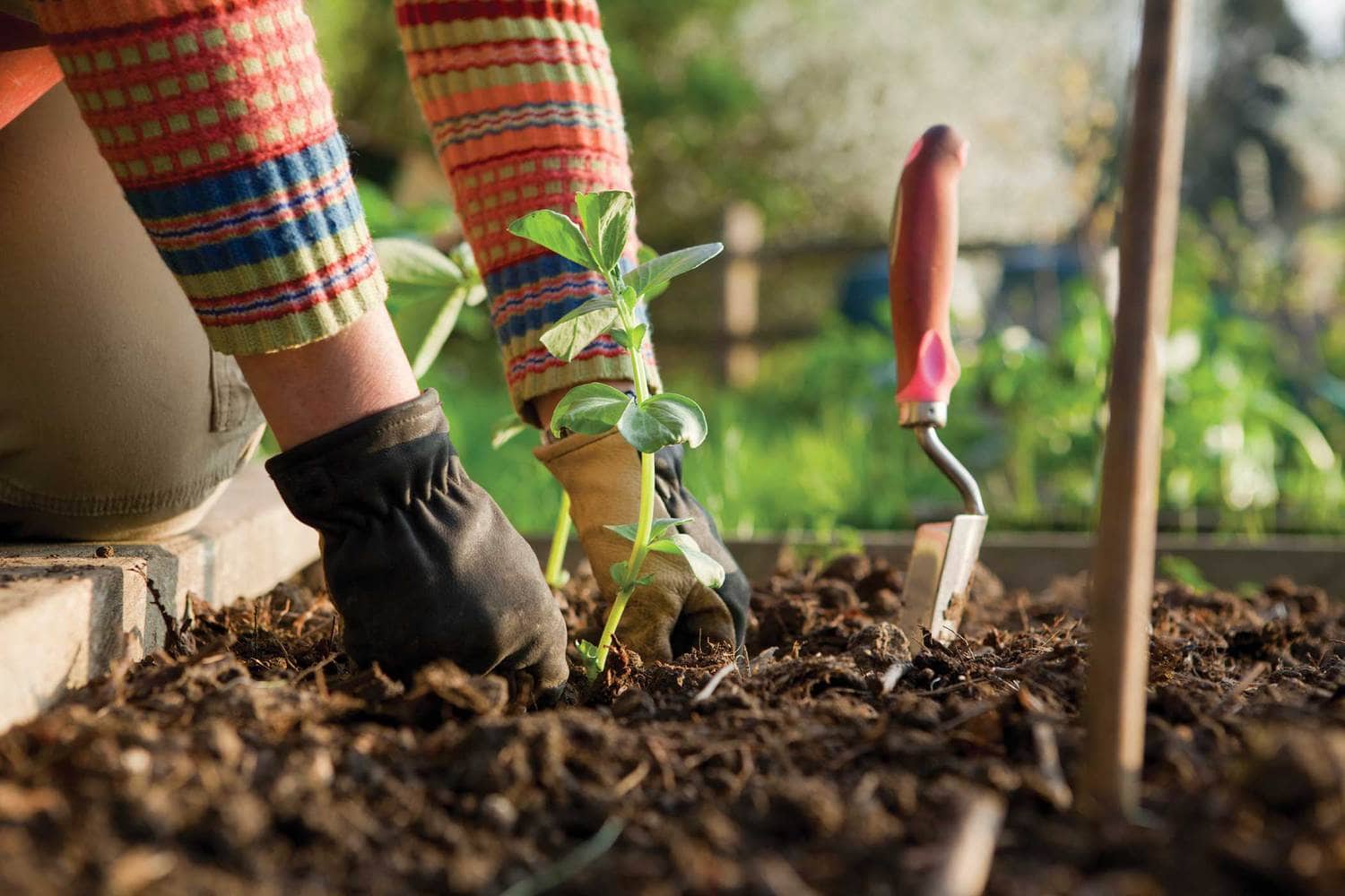 Earth Within Girls Gardening