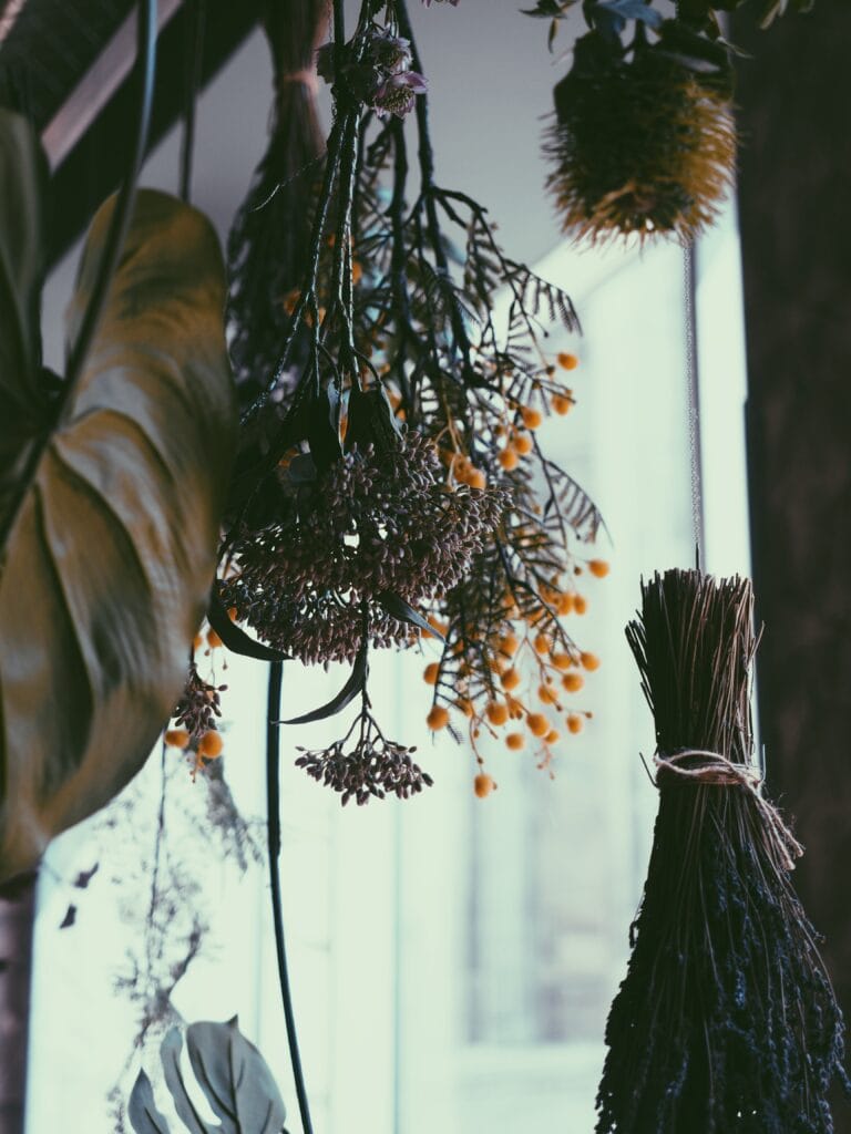 Dried flowers and herbs hanging by twince from a curtain rod