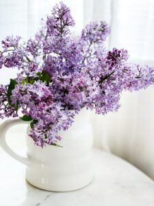 lilacs in vase