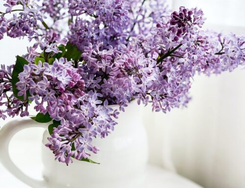 Sympathy Flowers That Speak from the Heart