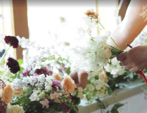 Fresh vs. Dried Flowers: Which Is Better for Your Event?