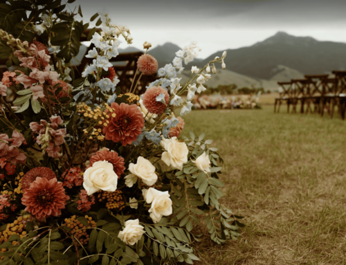 From Weddings to Workshops: What Earth Within Offers